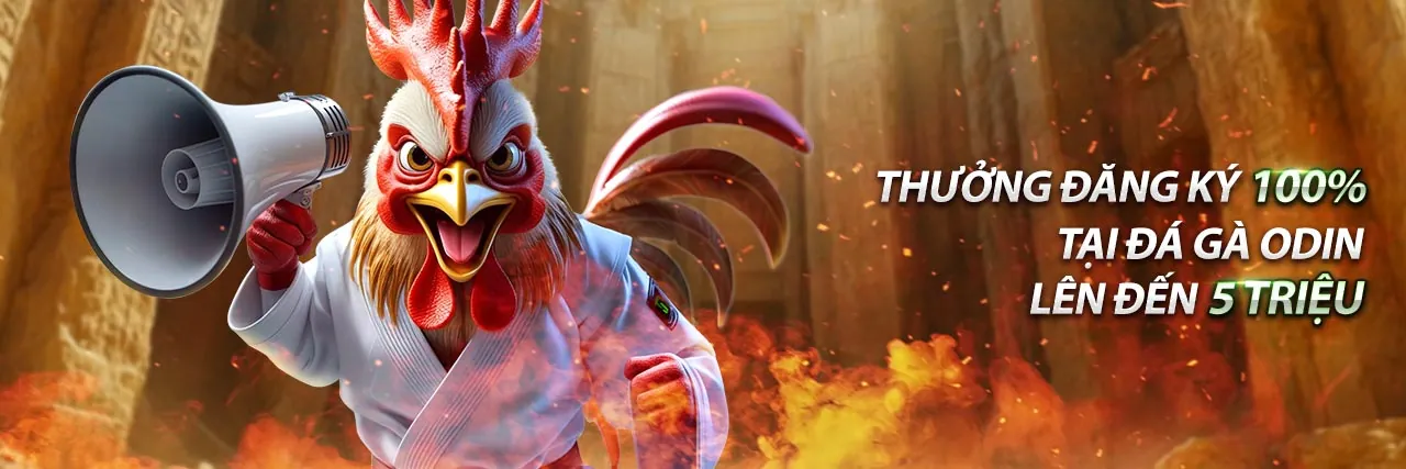 Hình ảnh đá gà trực tuyến V88