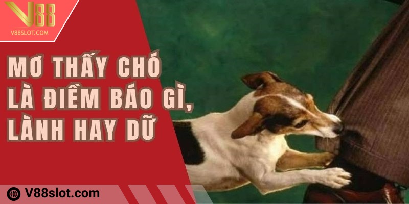 Nằm mơ thấy chó là điềm gì?